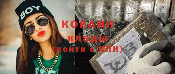 крисы Алексин